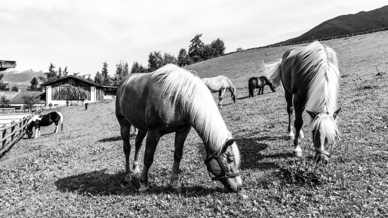 Вілла Widmannhof - Urlaub Auf Dem Biobauernhof Брессаноне Екстер'єр фото