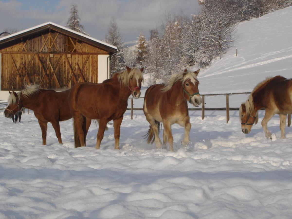 Вілла Widmannhof - Urlaub Auf Dem Biobauernhof Брессаноне Екстер'єр фото